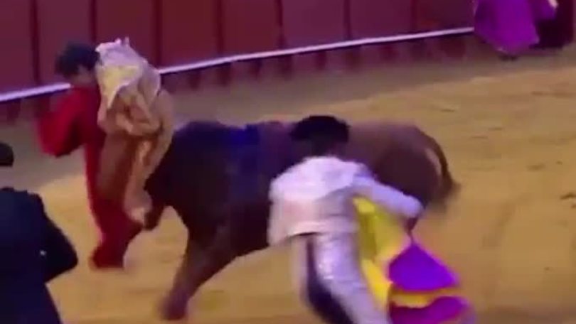 Torero incornato durante la corrida a Siviglia