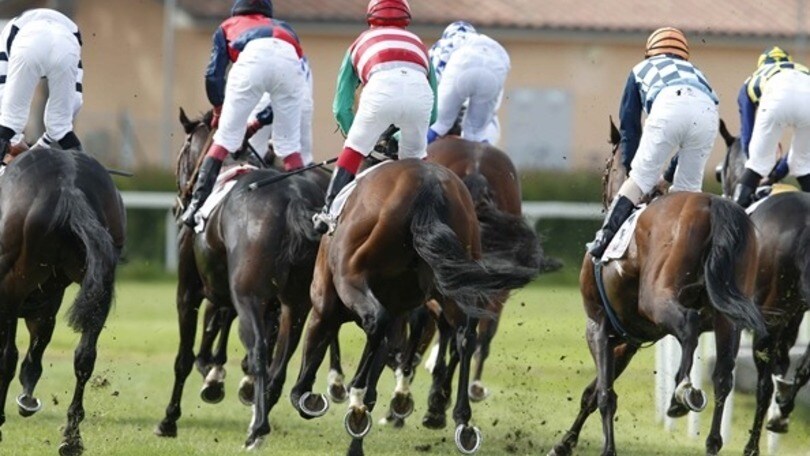 Ippica, il Mipaaf convoca gli ippodromi