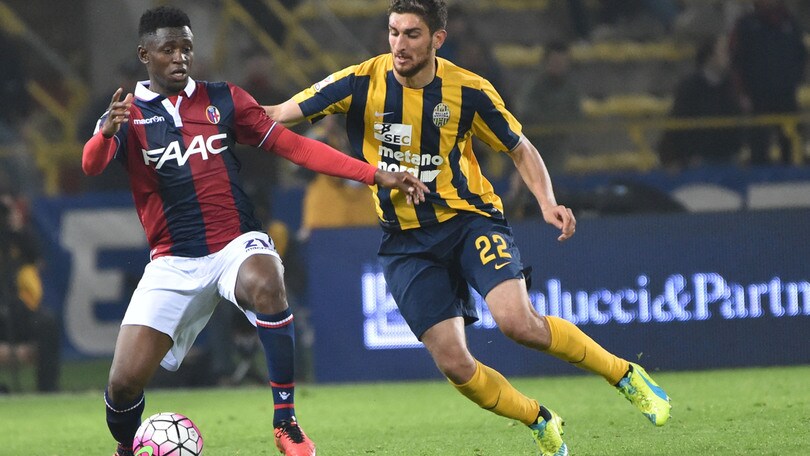 Calciomercato Bologna, stallo Diawara. Piace il baby Zivkovic