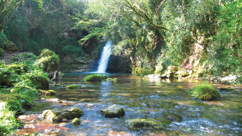 La primavera nel Lazio