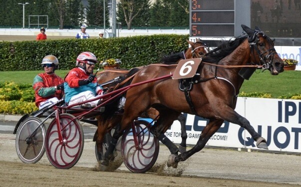 Ippica, giornata perfetta per Souloy