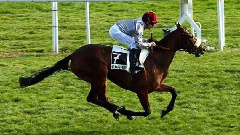Ippica, a Capannelle in arrivo Dettori