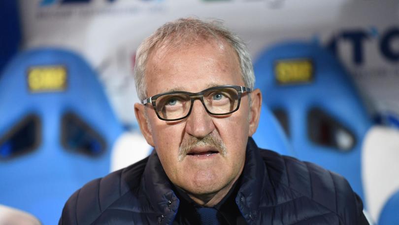 Serie A Del Neri: «Verona merita la Serie A»