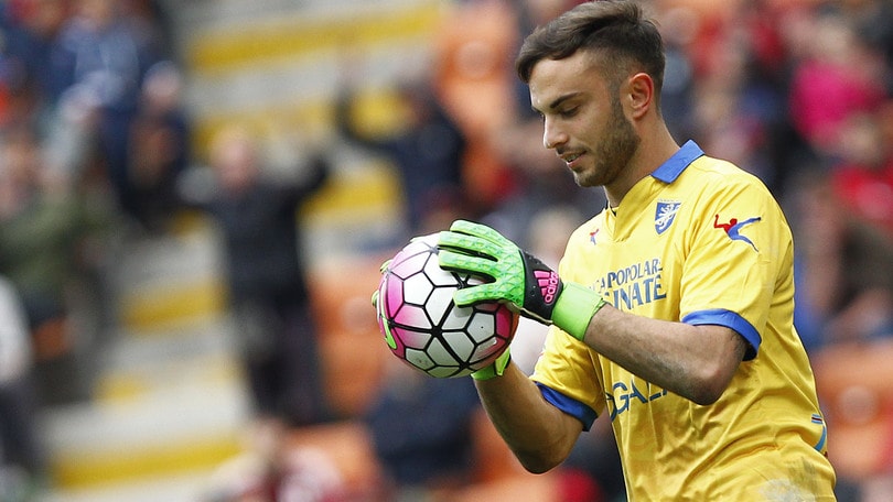 Calciomercato Frosinone, torna il portiere Bardi