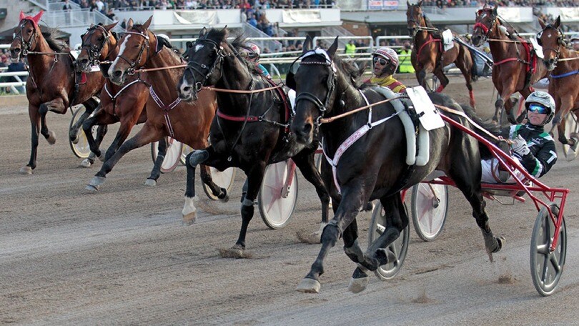 GP Lotteria: vince Oasis Bi, italiano di Svezia