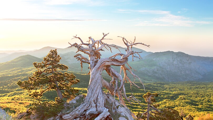 Primavera a ritmo di natura