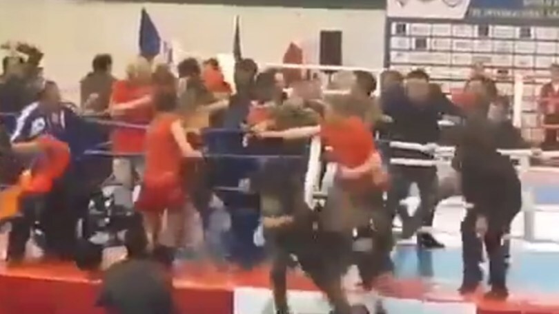 Rissa paurosa dopo l'incontro: succede di tutto