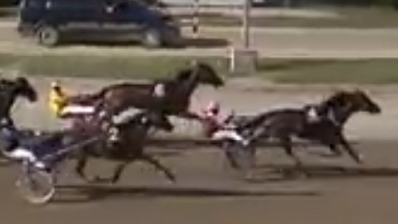GP Orlandi da record: Zorro Photo in 1.11.1