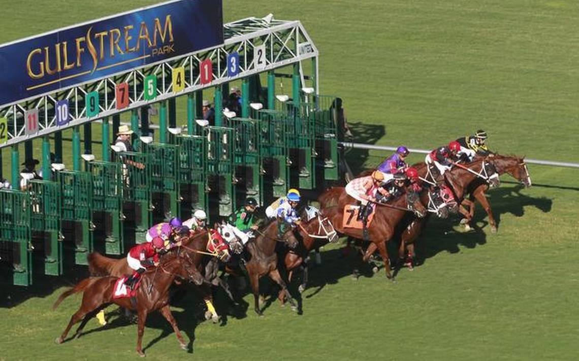 Pegasus World Cup, che partenza!