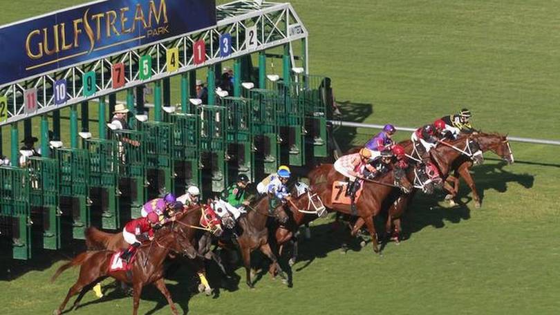 Pegasus World Cup, che partenza!
