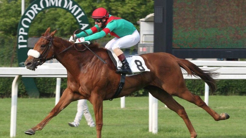 Dettori in sella a Responsibleforlove