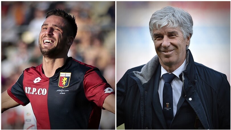 Calciomercato Lazio, Pavoletti porta Gasperini?