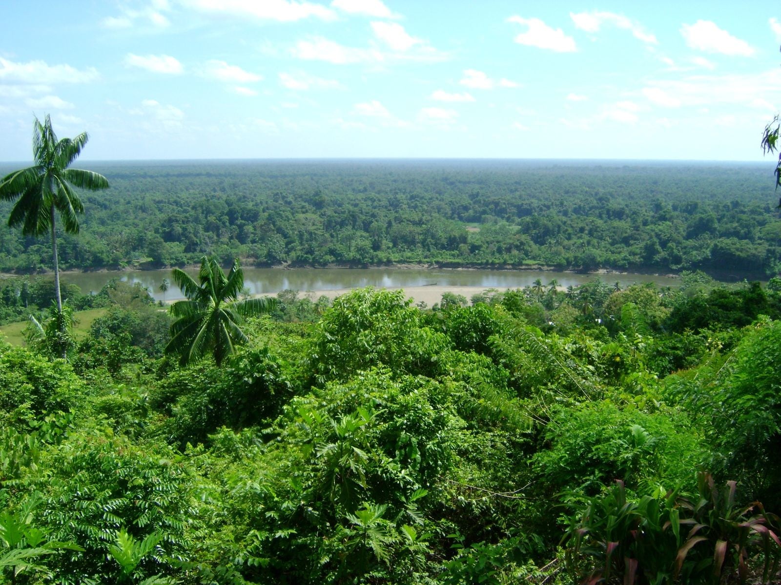 Papua Nuova Guinea, Uganda e Rwanda, viaggi indimenticabili