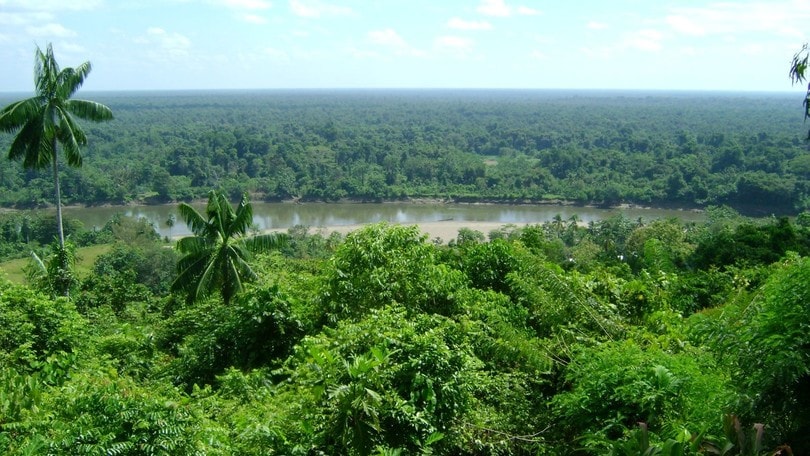 Papua Nuova Guinea, Uganda e Rwanda, viaggi indimenticabili