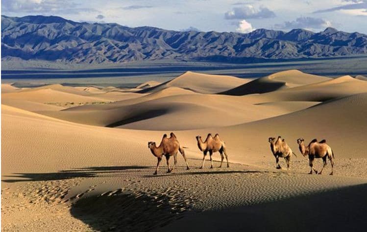 Il paradiso della Mongolia