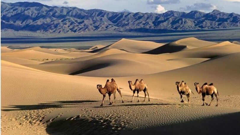 Il paradiso della Mongolia