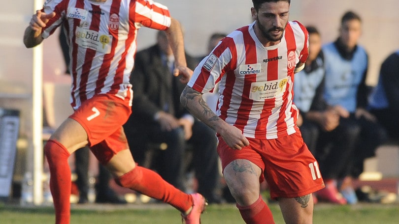 Ternana, asta per Falletti. Perugia: Buonaiuto per Bucchi