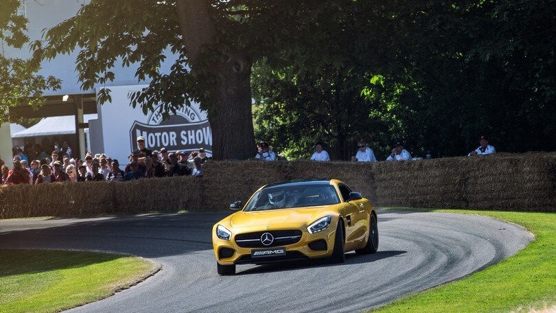Goowdood Festival of Speed 2016, le auto e i piloti