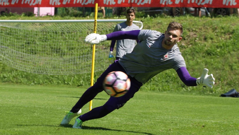Serie A Fiorentina, Dragowski out: lesione al collaterale