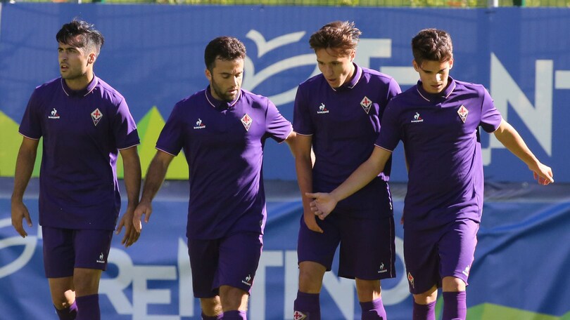 Calciomercato Fiorentina, si stringe per Van Beek