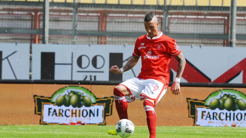 Calciomercato Ascoli, Ardemagni l'alternativa a Cacia?