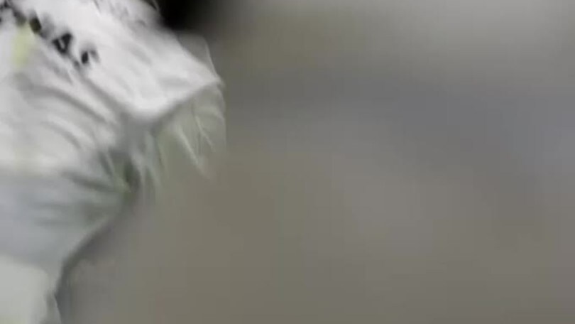 F1, Ungheria: Hamilton, vittoria e primato