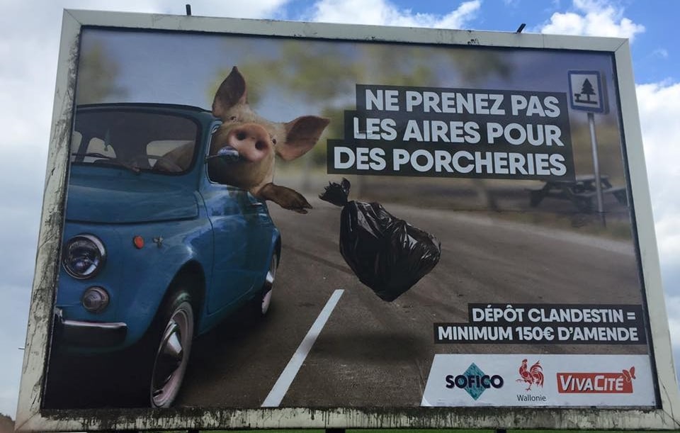 Un maiale tira immondizia dalla Fiat 500, è polemica con il Belgio