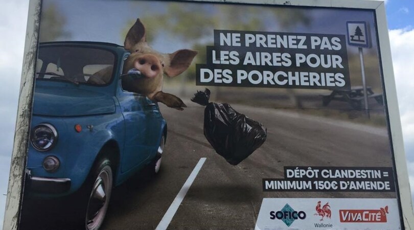 Un maiale tira immondizia dalla Fiat 500, è polemica con il Belgio