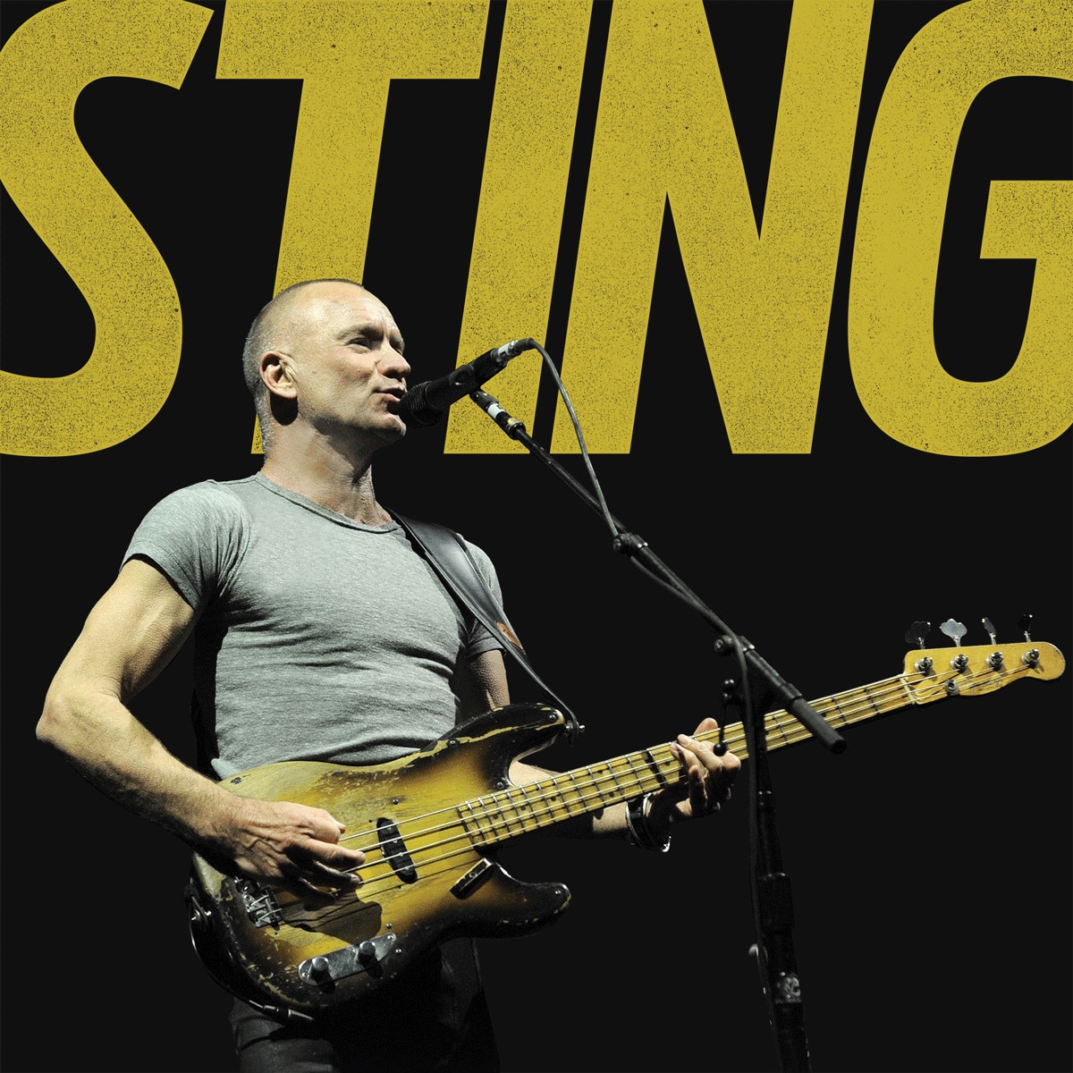 Back to Bass Tour, Sting fa tappa a Roma