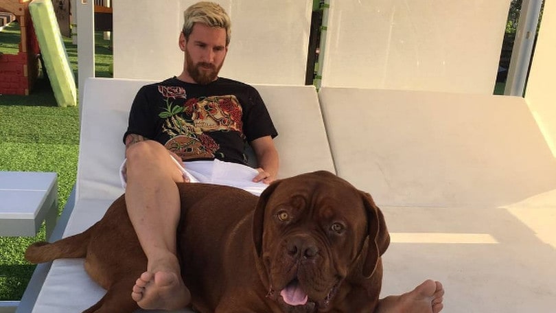 Messi, un lettino per due, ma il cane è più grande di lui