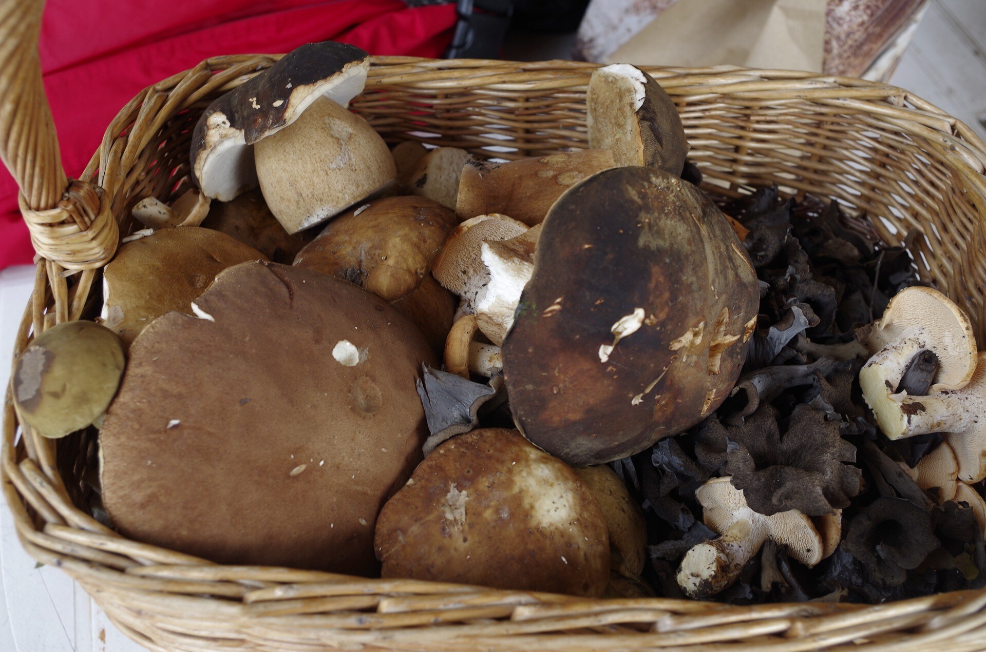Un weekend di gusto con le sagre laziali