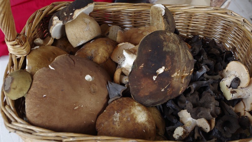 Un weekend di gusto con le sagre laziali