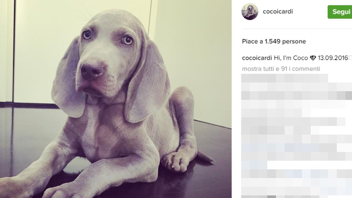 In casa Icardi arriva Coco. E ha già un profilo Instagram!
