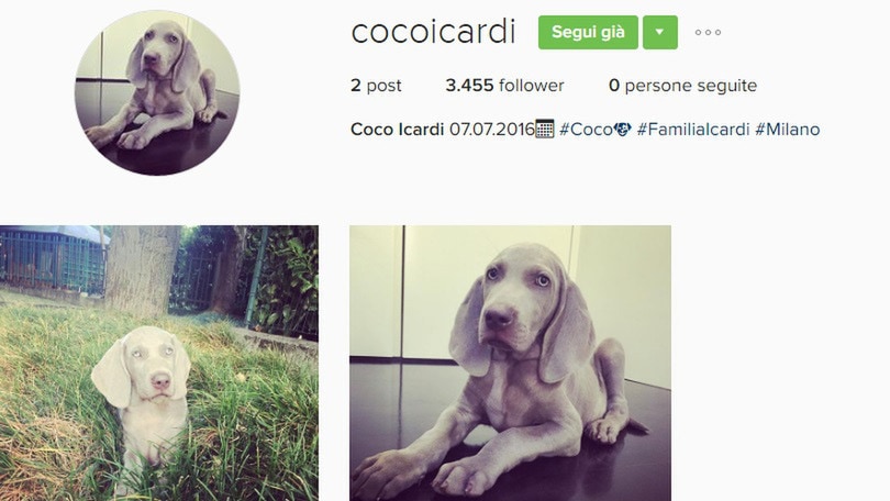 In casa Icardi arriva Coco. E ha già un profilo Instagram!