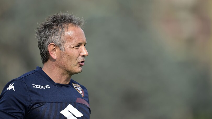 Serie A Torino, Mihajlovic: «Dura senza Ljajic e Belotti»
