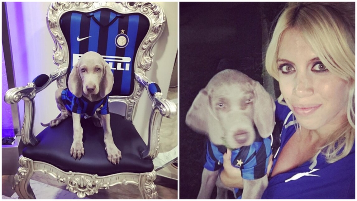 Coco Icardi, tifoso speciale: il portafortuna di Maurito e dell'Inter
