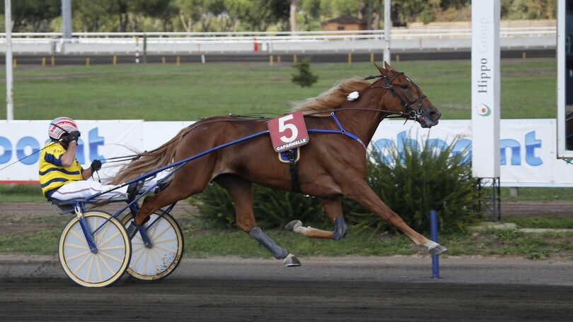 Una favorita Unicka per il Derby