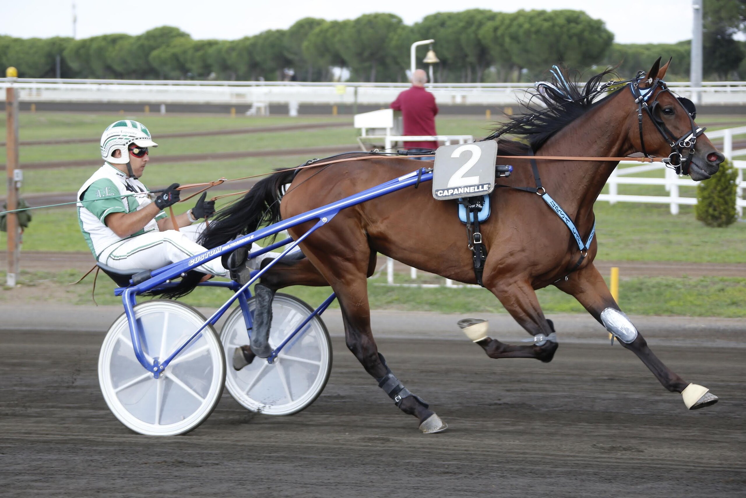 Derby e Oaks, i numeri delle finali