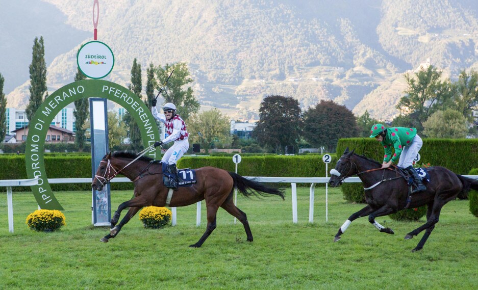 En plein straniero a Merano