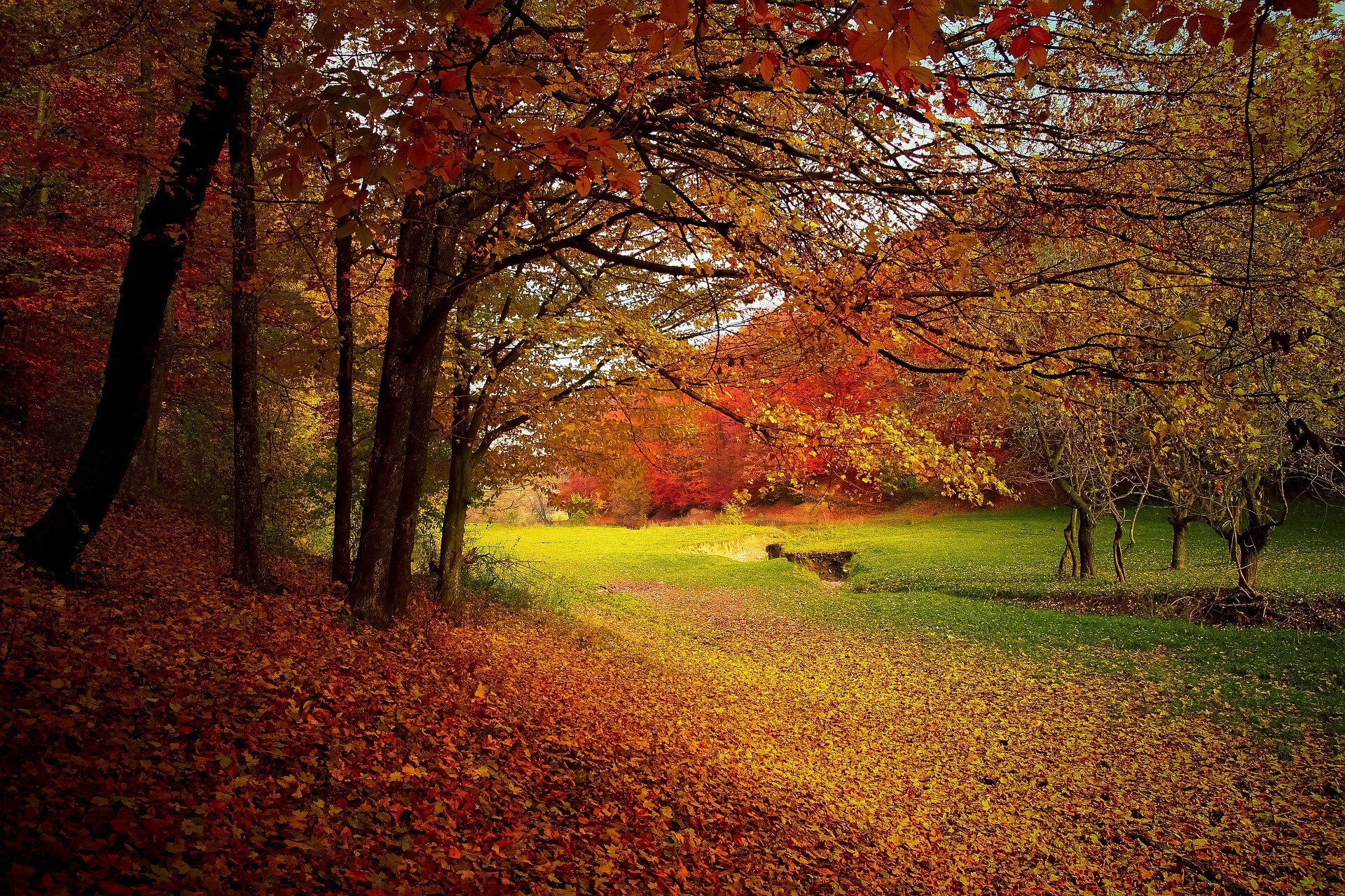 L’autunno da vivere a Roma e dintorni