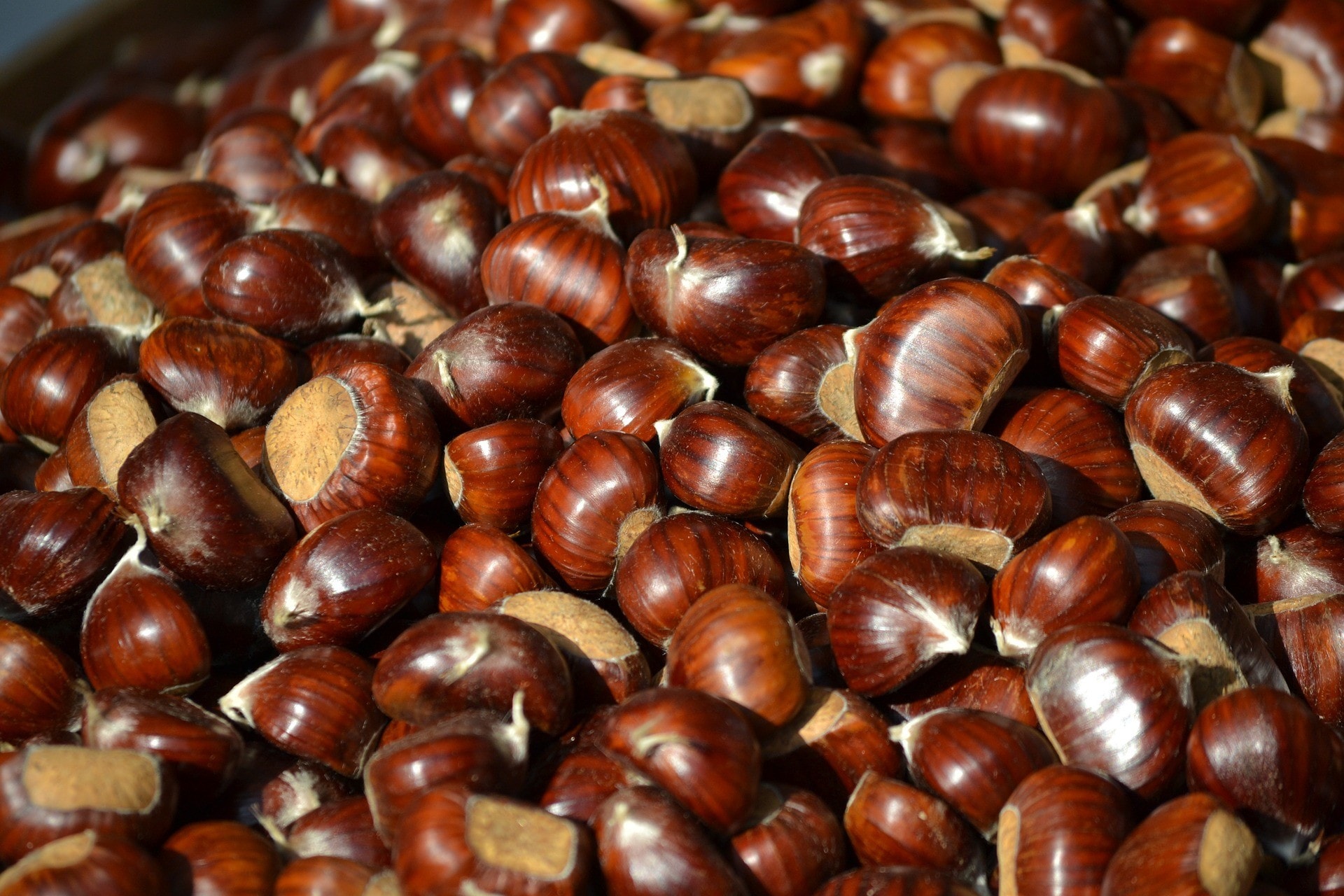Castagne e tartufo, ecco le sagre del weekend