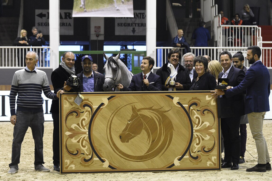 Kep Italia premia il vincitore allo Straight Egyptian World Championship