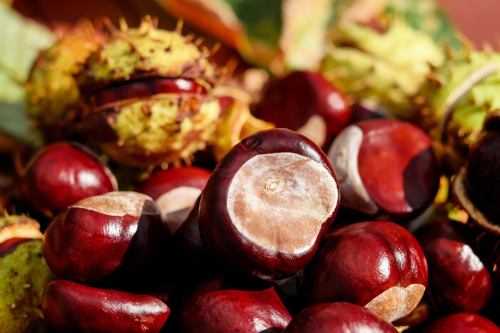Un weekend all’insegna dei sapori autunnali