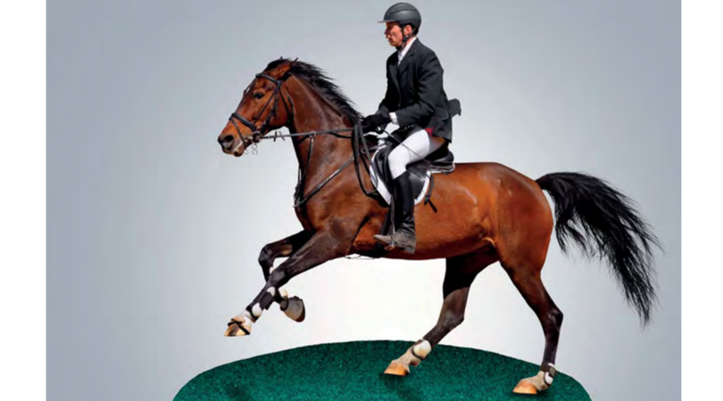 Grazie alla gomma da riciclo meno infortuni agli arti del cavallo
