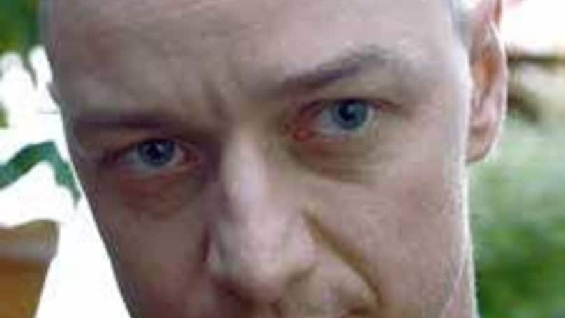 Con Cytifest eventi per tutti