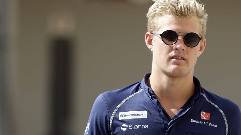 F1 Sauber, Ericsson: «Troppa pressione sui giovani piloti»