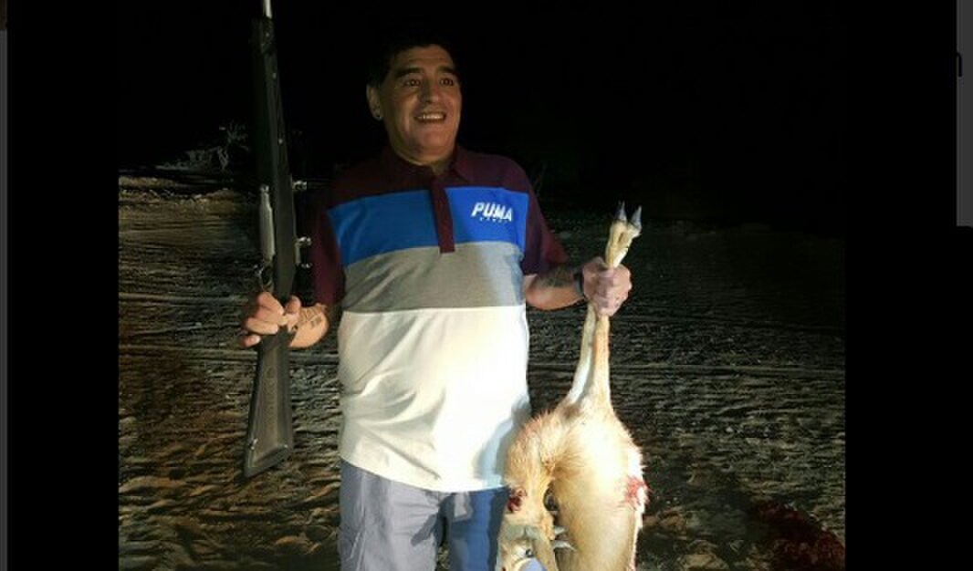 Foto con la preda in via d'estinzione. Ma è Maradona?
