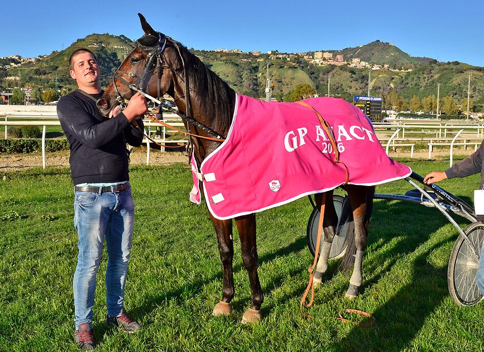 Classifiche 2016: sbanca Casillo