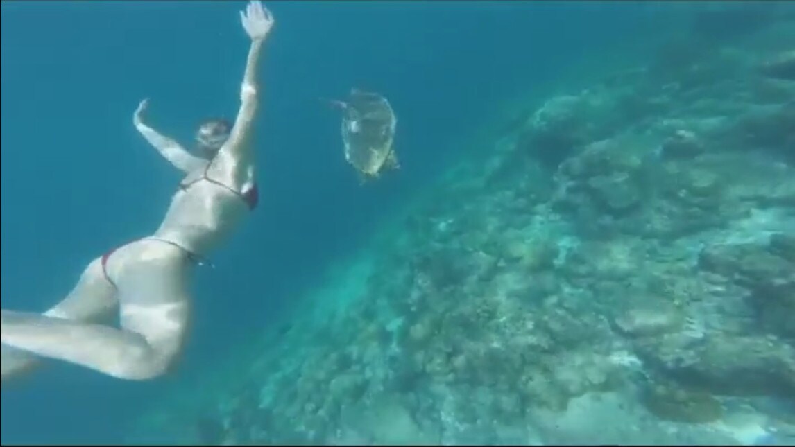 Federica Pellegrini, vacanza da sogno: la Divina nuota con le tartarughe