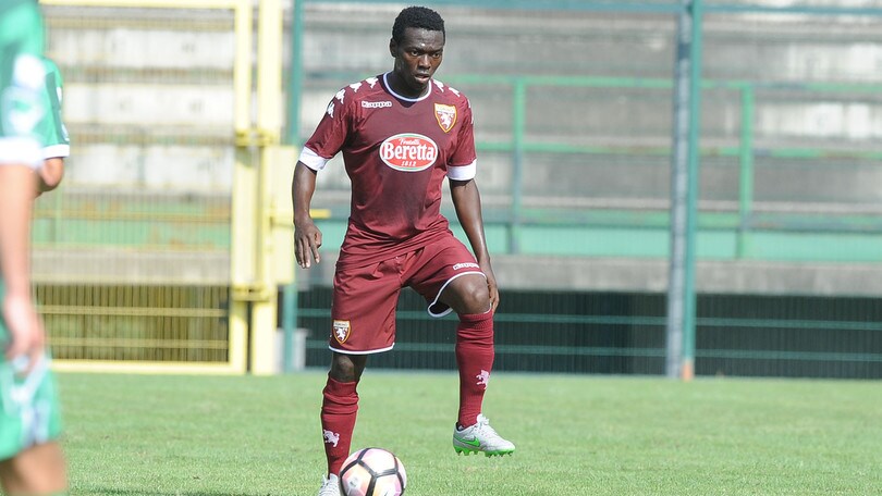 La Pro Vercelli vuole un giovane del Torino